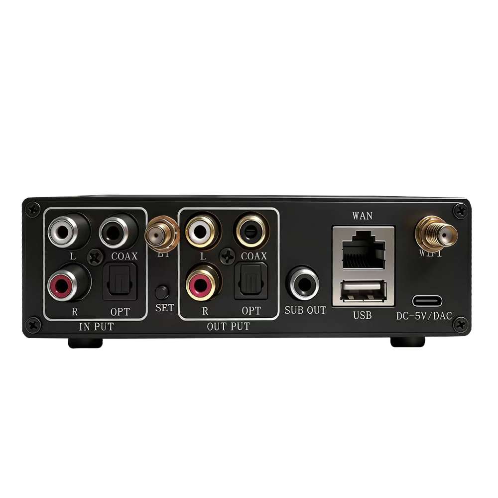 WR30 PRO WiFi Bluetooth Music  - Dac Streamer Network Player ulasan dan harga