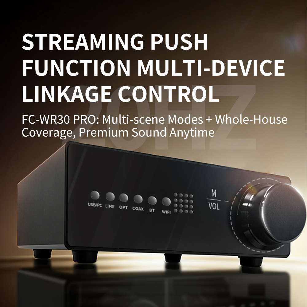 WR30 PRO WiFi Bluetooth Music  - Dac Streamer Network Player ulasan dan harga