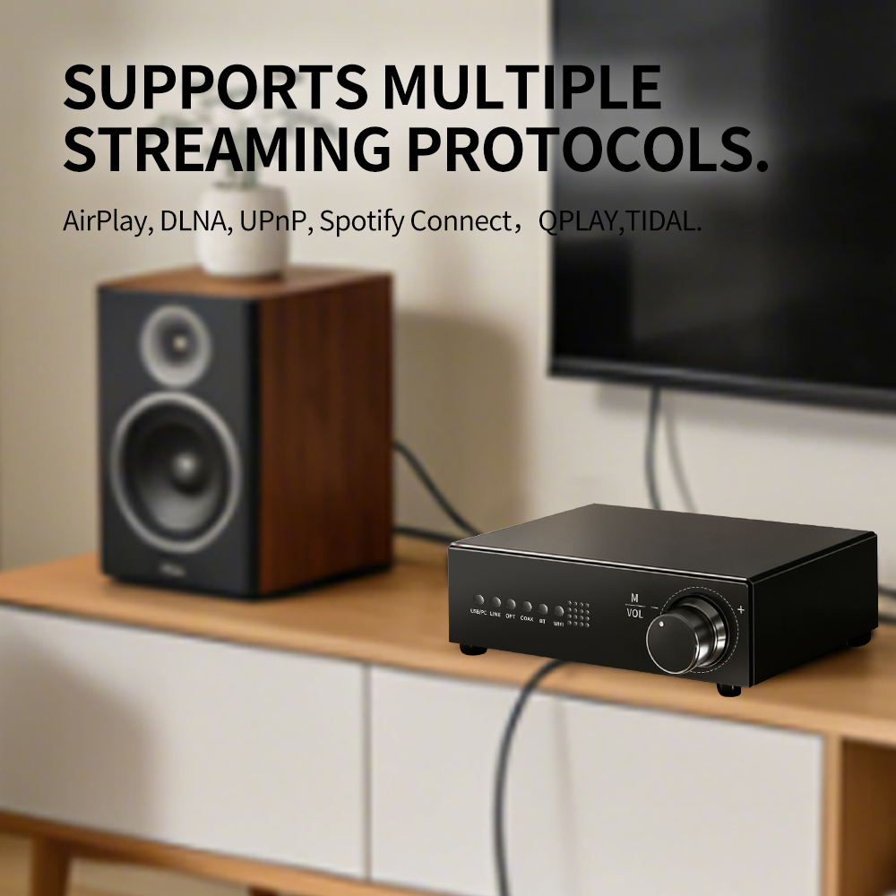 WR30 PRO WiFi Bluetooth Music  - Dac Streamer Network Player ulasan dan harga